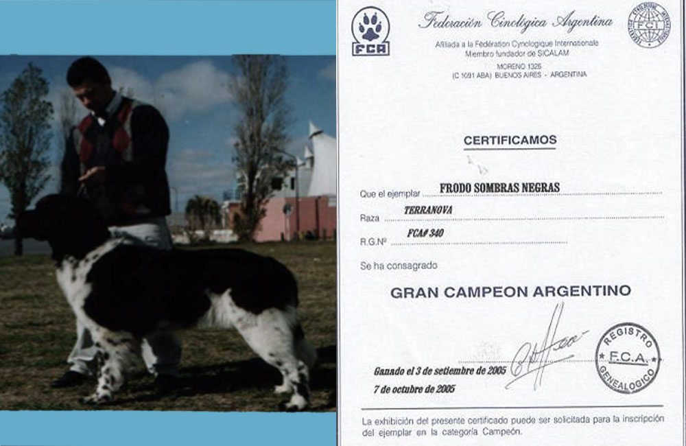 terranova negro y blanco