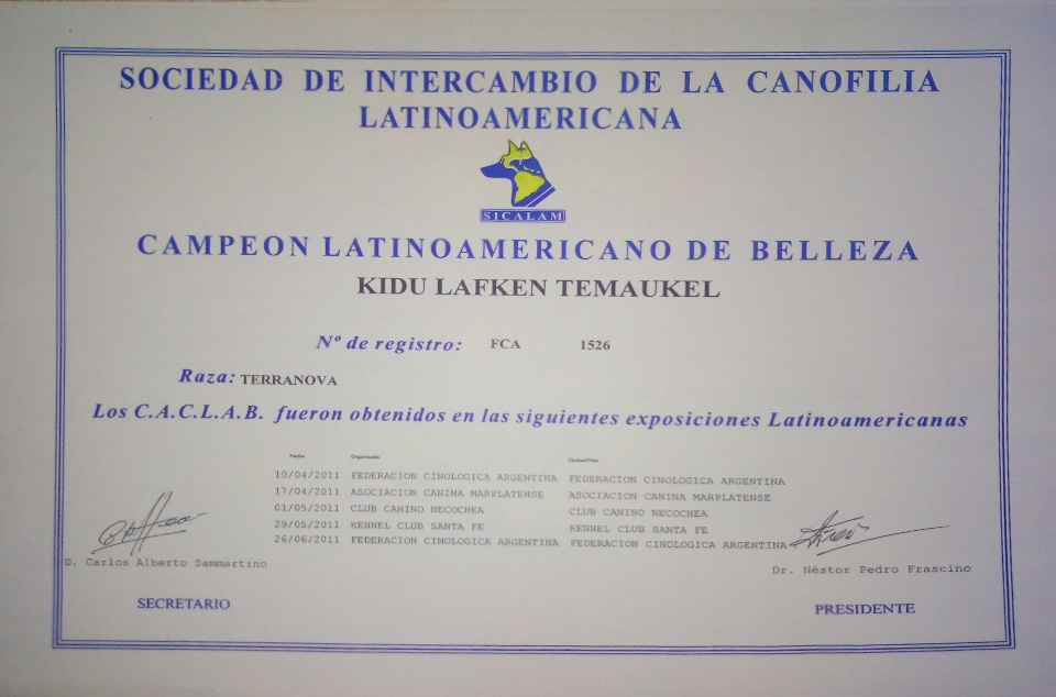 terranova negro campeon argentino