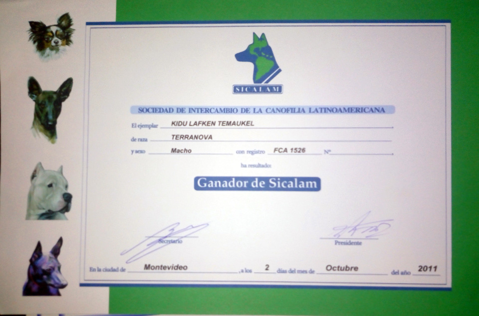 terranova negro campeon argentino