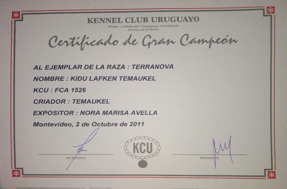 terranova negro campeon argentino