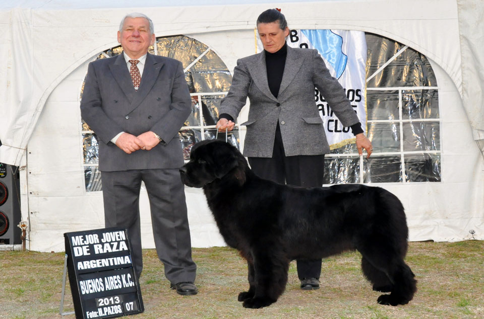 terranova negra