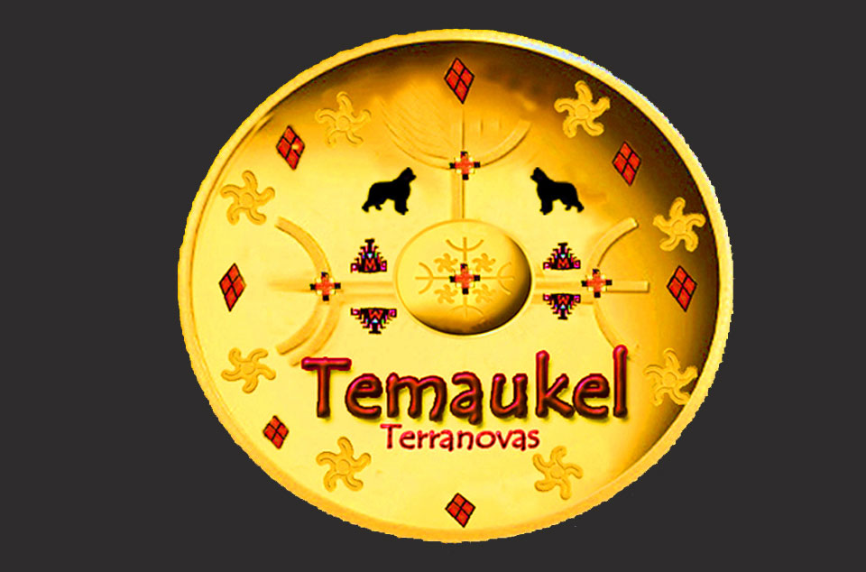 escudo temaukel